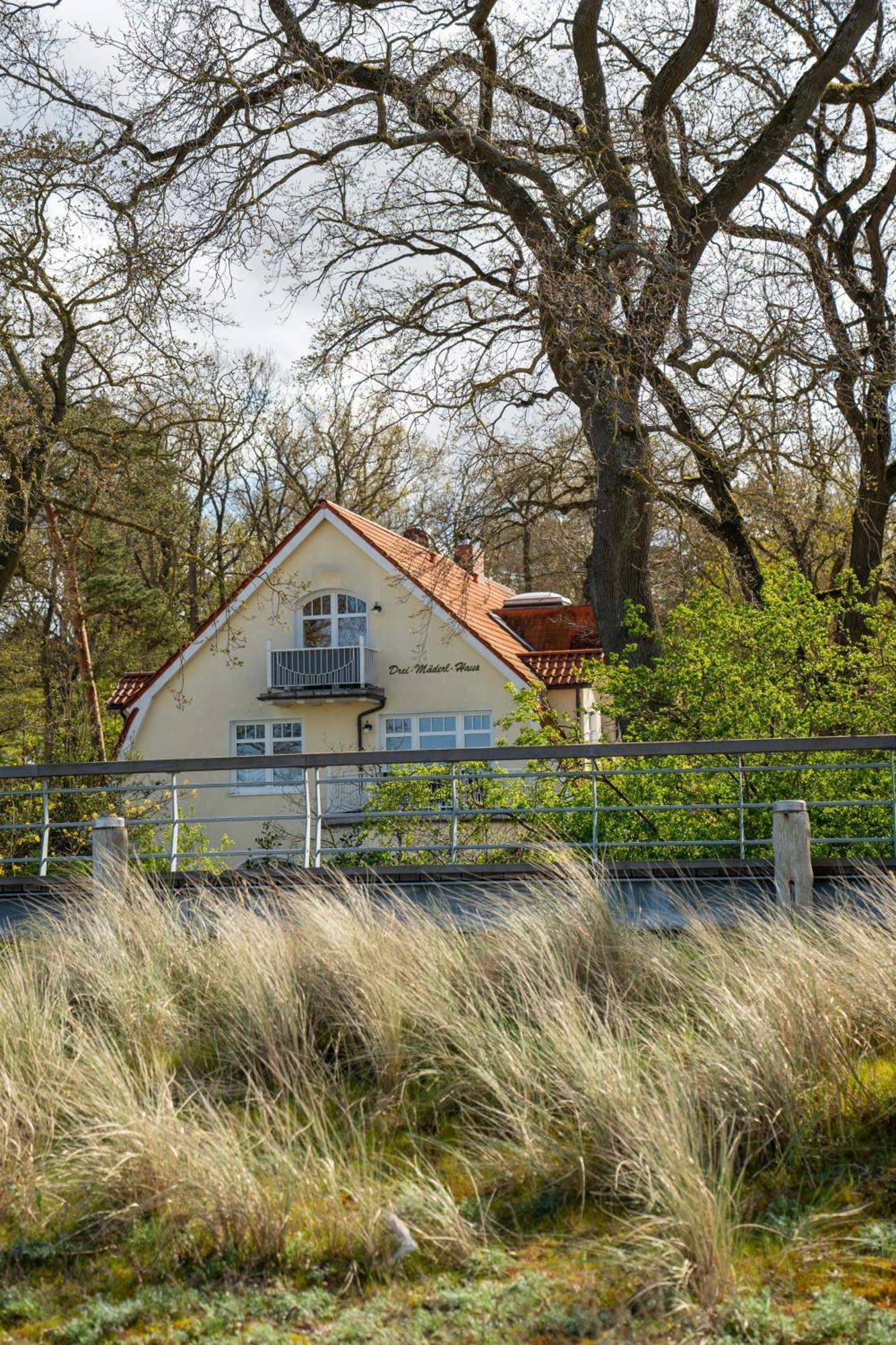Strandvilla Drei Maederl Haus Boltenhagen  Bagian luar foto